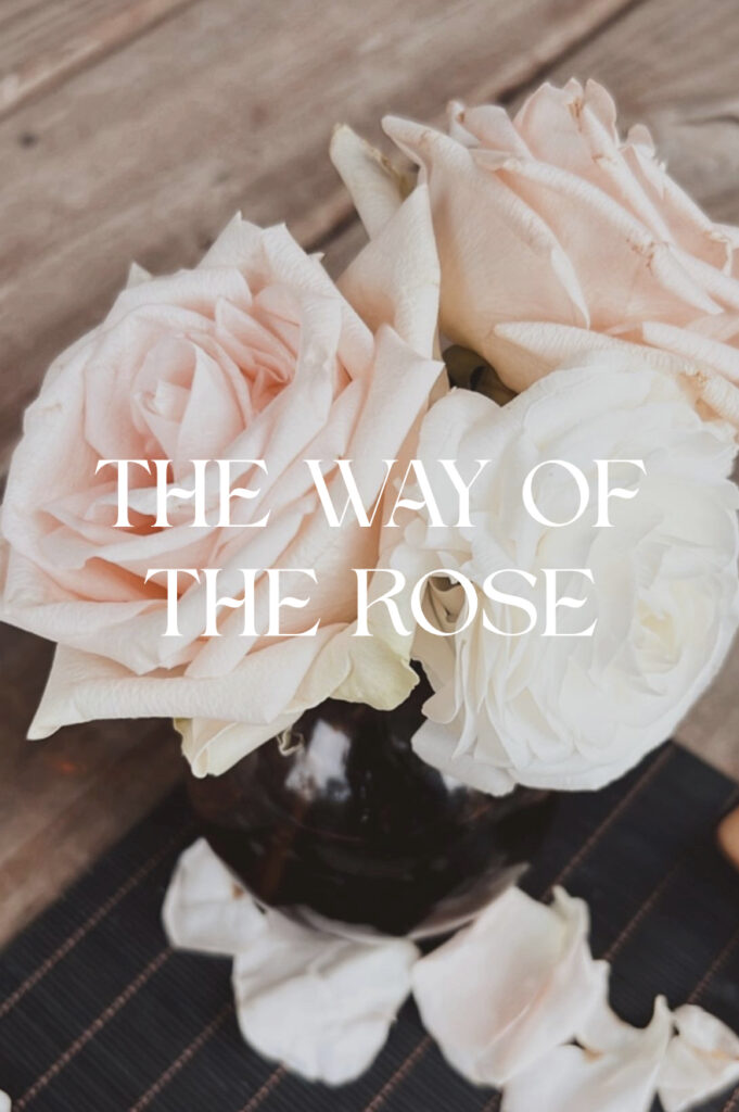 Blog post about Rose Medicine and feminine healing